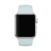 Curea iUni compatibila cu Apple Watch 1/2/3/4/5/6/7, 44mm, Silicon, Turquoise